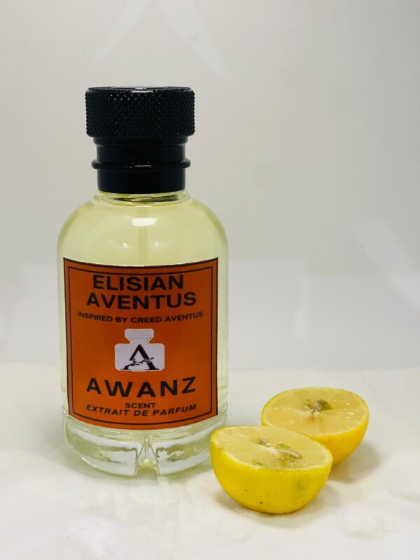 ELISIAN AVENTUS